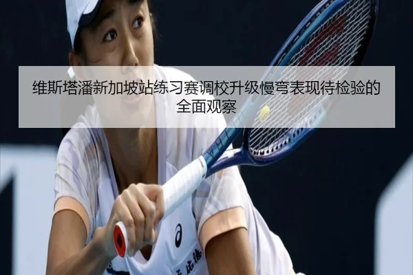 维斯塔潘新加坡站练习赛调校升级慢弯表现待检验的全面观察
